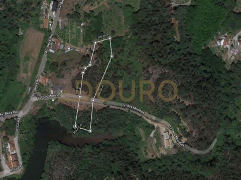 Terreno Rústico